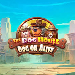 The Dog House – Dog or Alive